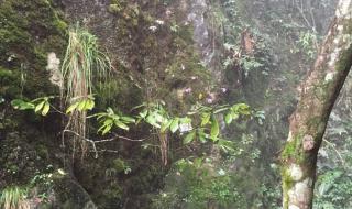 十堰牛头山高峰寺海拔 厦门牛头山公园